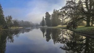 Bäme spiegeln sich im Wasser