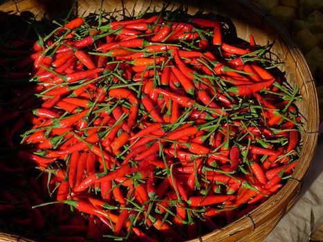 Chillis