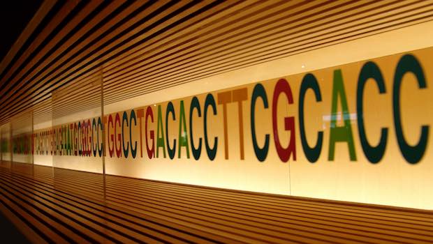 DNA Buchstaben CTGA und Linien, Genetik als Narzissmus-Ursache