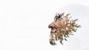 weißer Kopf und Nadelbaum als Schattierung auf Gesicht
