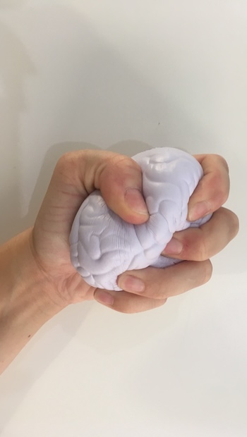 Hand drückt Knetball mit Form eines Hirnes