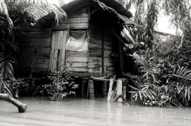 Hütte am Flussufer mit Palmen, schwarzweiß