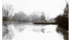 Insel im See mit Uferböschung und Bäumen, schwarz-weiß
