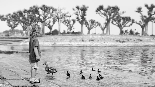 Kind steht am Wasser und blickt auf Enten