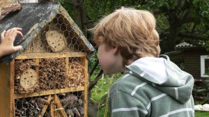 Kind vor Bienenstock