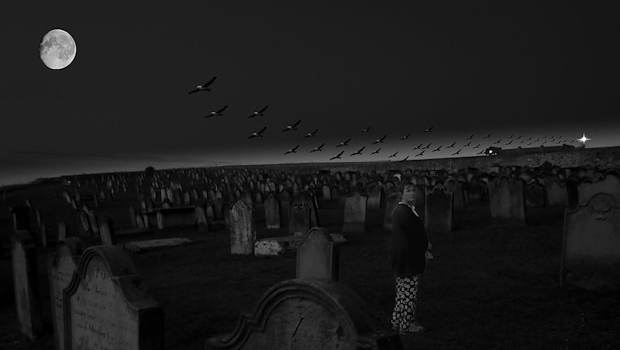 Fledermäuse fliegen im Mondschein über Friedhof