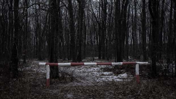 Schranke im Wald