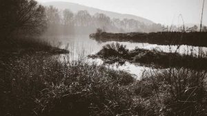 Uferlandschaft schwarz weiß