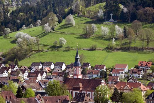 Waldkirch Frühling Luftaufnahme