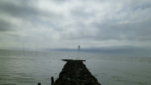 Steinweg, Meer, wolken, Baum