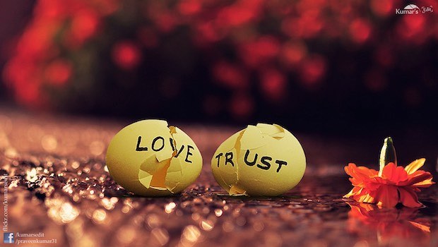 Zwei Eier Love Trust